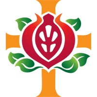 St John of God Health Care Logo