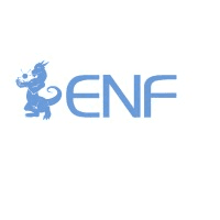 ENF Ltd. Logo
