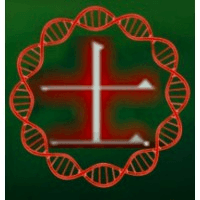 Warrior Life Coach® Logo