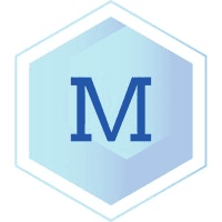 LayerX Security Logo