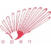 Shell Networks and Solutions Limited Logo