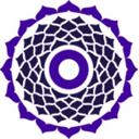 True Wealth Ventures