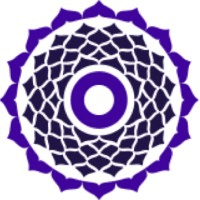 True Wealth Ventures Logo