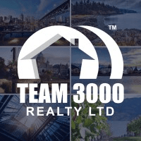 Team 3000 Realty Logo