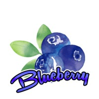 BlueBerry Foods Pvt Ltd Logo