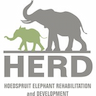 Herd - Hoedspruit Elephant Rehabilitation AND Development