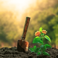 Superior Landscapes Logo