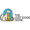The Lost Dogs' Home