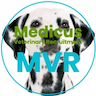Medicus Vet Recruitment
