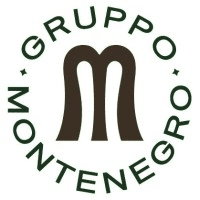 Gruppo Montenegro Logo