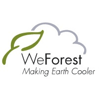 WeForest🌿 Logo