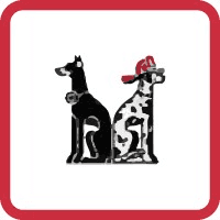 Haig Service Corporation Logo