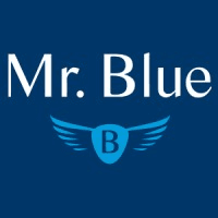 Mr. Blue Logo