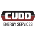Cudd Energy Services