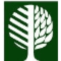 Matson Lumber Company Logo