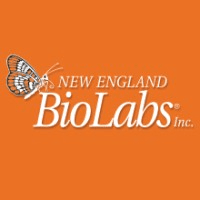 New England Biolabs Logo