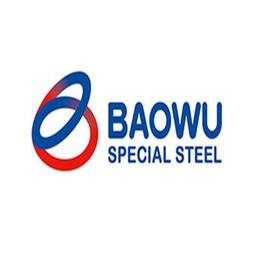 Baowu Special Steel Co., Ltd. Logo