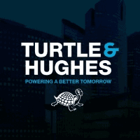 Turtle Logo