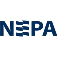 Nepa Group Logo