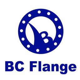 Dingxiang Beicheng Flange Co.,Ltd Logo