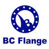 Dingxiang Beicheng Flange Co.,Ltd