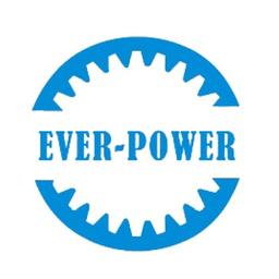 EVER-POWER INDUSTRY PTE. LTD.