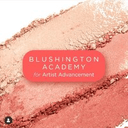 Blushington Holdings Inc.