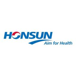 HONSUN GROUP Logo