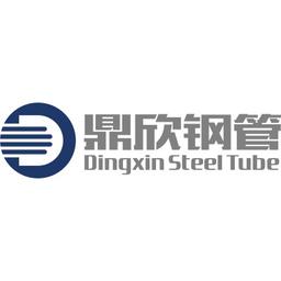 Zhejiang Dingxin Steel Tube Manufacturing Co., Ltd. Logo
