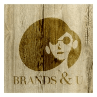 BRANDSANDU Logo