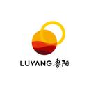 Luyang Energy-Saving Materials Co.,Ltd.