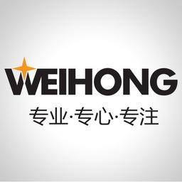 上海维宏电子科技股份有限公司 Logo