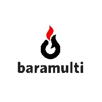 Baramulti Group Logo