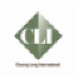 SHANGHAI CHUANGLONG INTERNATIONAL TRADE CO., LTD Logo