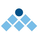 Management Solutions International (MSI)