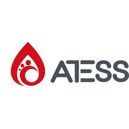 ATESS Power Logo