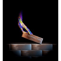 The Connection Worldwide Logo