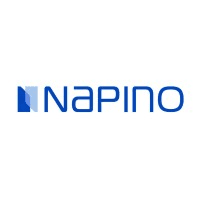 Napino Auto & Electronics Ltd Logo