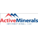 Active Minerals International