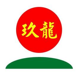 玖龙纸业 Logo