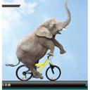 Qingdao Qingflex Hose Factory