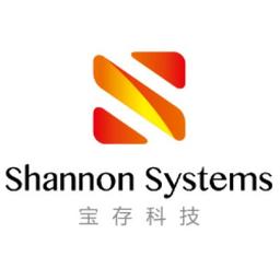 上海宝存信息科技有限公司 Logo