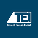 Tax Executives Institute