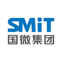 国微集团（深圳）有限公司 Logo