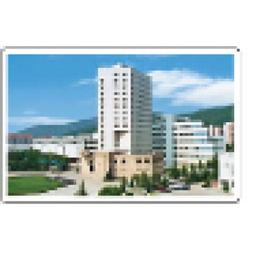 Shandong University of Finance and Economics Logo