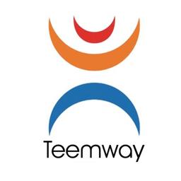 Teemway Group Ltd. Logo