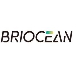Briocean Technology Logo