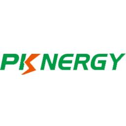 Shenzhen Pknergy Energy Co., Ltd. Logo