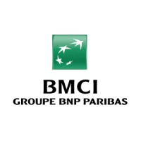 BMCI Groupe BNP Paribas Logo