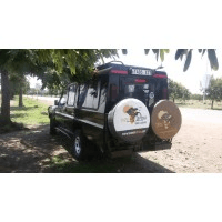 Taste of Afrika Safaris Logo